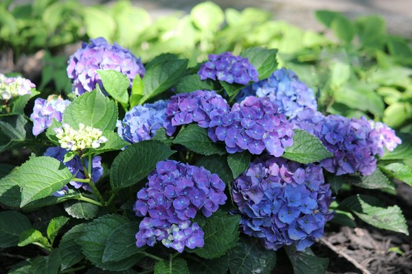 Serrurier aix-les-bains : rapidité et expertise à votre service