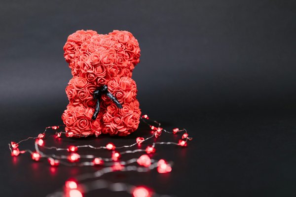 Ours en rose blanche : l'élégance d'un amour éternel